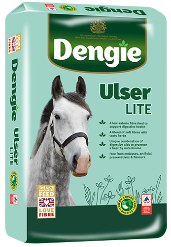 DENGIE-ULSER-LITE-LHS-Sept2025-web.png
