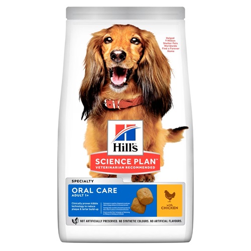 hills-oral.jpg
