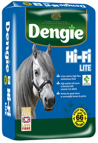 DENGIE-HI-FI-LITE-2025-LHS-web.png