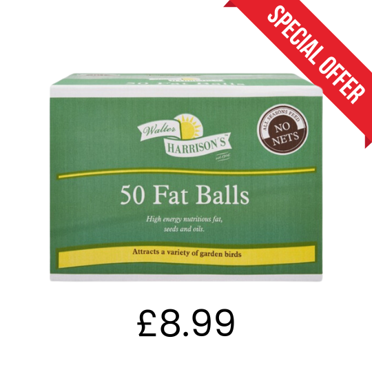 Fat-balls-8.99.png