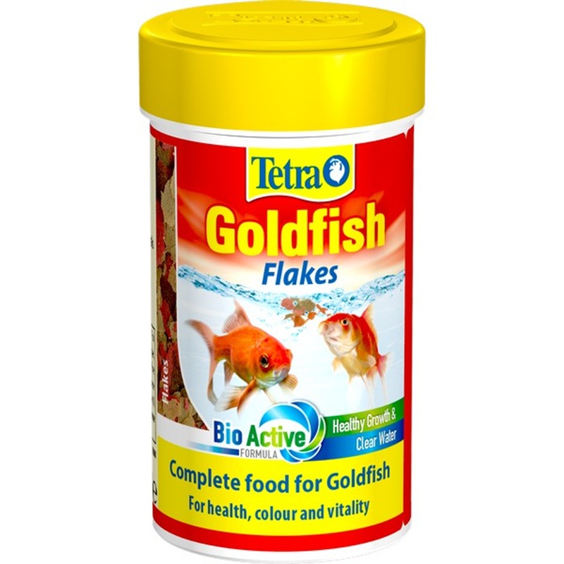 goldfish.jpg
