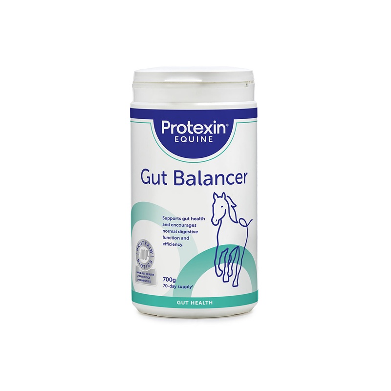 gut-bal.jpg
